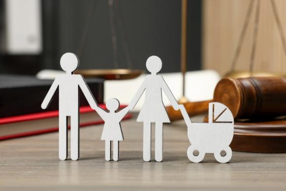  Avocat Droit de la Famille Annecy